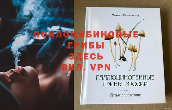 MESCALINE Аркадак