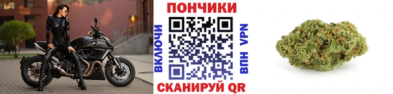 Шишки марихуана Amnesia  дарнет шоп  Иннополис 